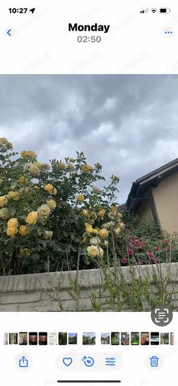 Vand casa mica cu gradina racoroasa(schimb) - 1