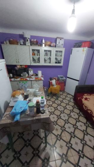 Vand casa cu teren - 2