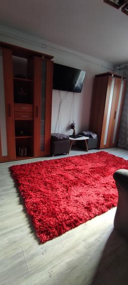 Garsoniera de inchiriat - 3