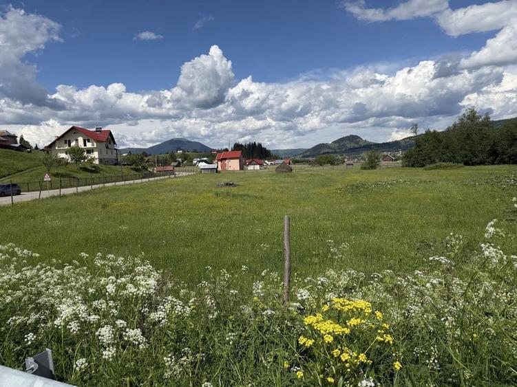 Vand Teren Intravilan Poiana Negrii jud Suceava (Bucovina) - 6