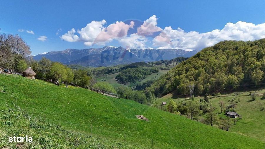 Teren de 2847 mp, în Moieciu