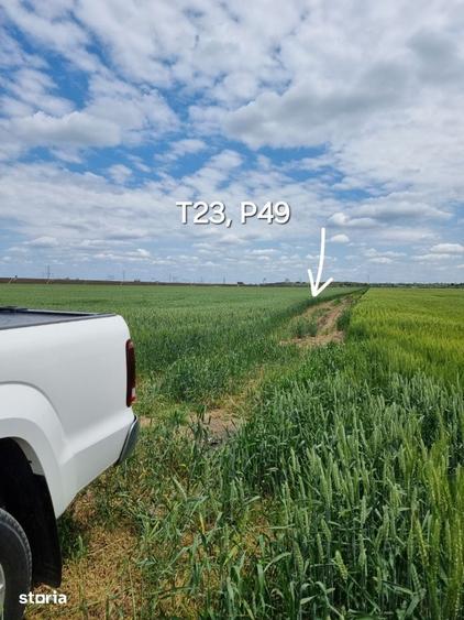 Teren de 33100 mp, în Glina