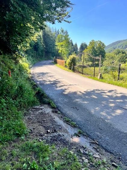 Teren Construcții intravilan de 7000 mp, în Avram Iancu