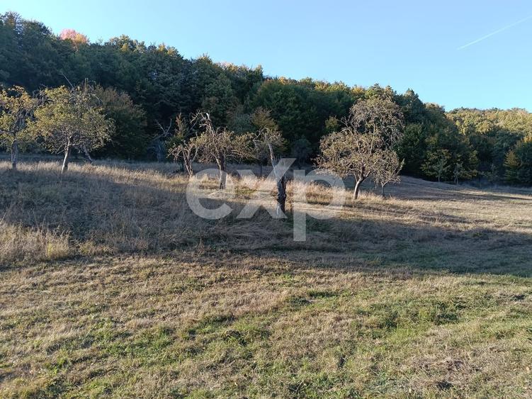 Teren Construcții extravilan de 3700 mp, în Vulturești