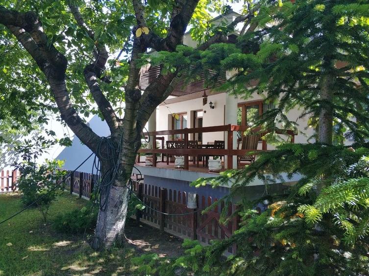 Zonă Centrală - Vilă exclusivistă S+P+E, teren 556 mp, finisaje lemn masiv - 36