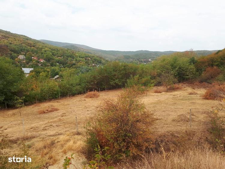 Teren de 2200 mp, în Poșta Câlnău