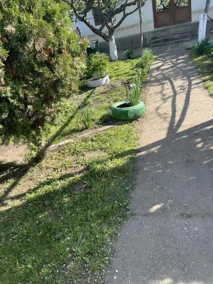 Oaza ta de lini?te la ?ara - 9