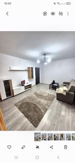 Apartament de inchiriat Banat - 8