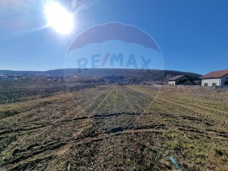 Teren Intravilan de Vânzare în Hemeiuș - 2