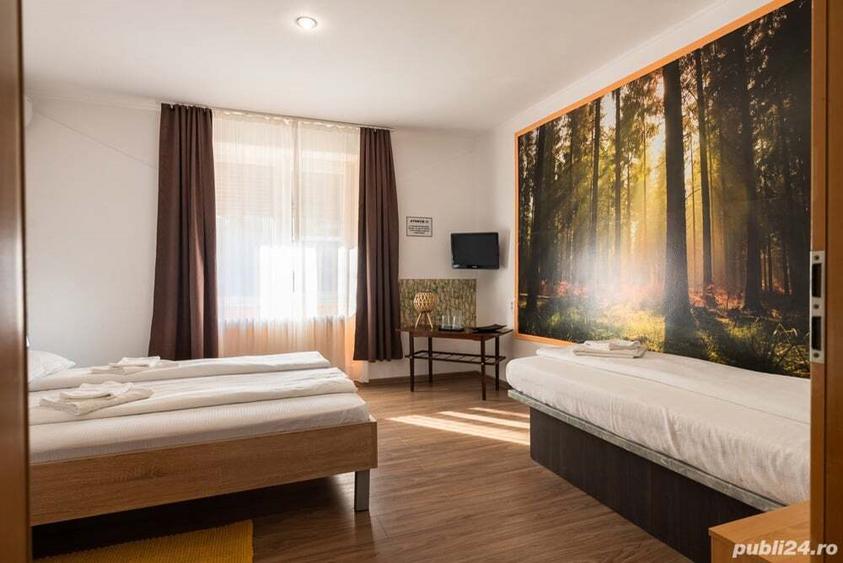 Afacere la cheie Casa de vanzare - 7