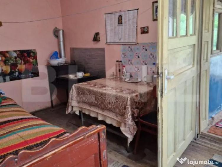 Casa la tara in Beudiu, comuna Nu?eni + teren arabil - 4