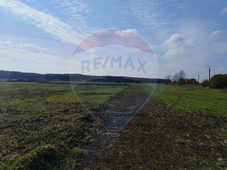 Teren 800mp Ghermanesti / Soseaua Ghermanesti - 6