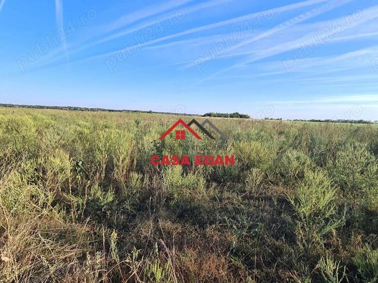 Teren extravilan in Urleta--5000m--18.500e - 6