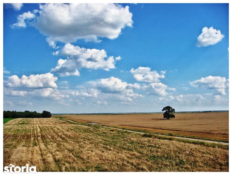 Sat Pope?ti. Curent. Padure. Aer curat, liniste, acces usor Bucuresti. - 4