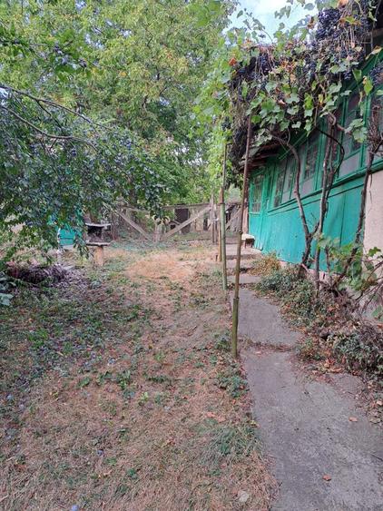 vand casa cu teren in Cojocna - 1