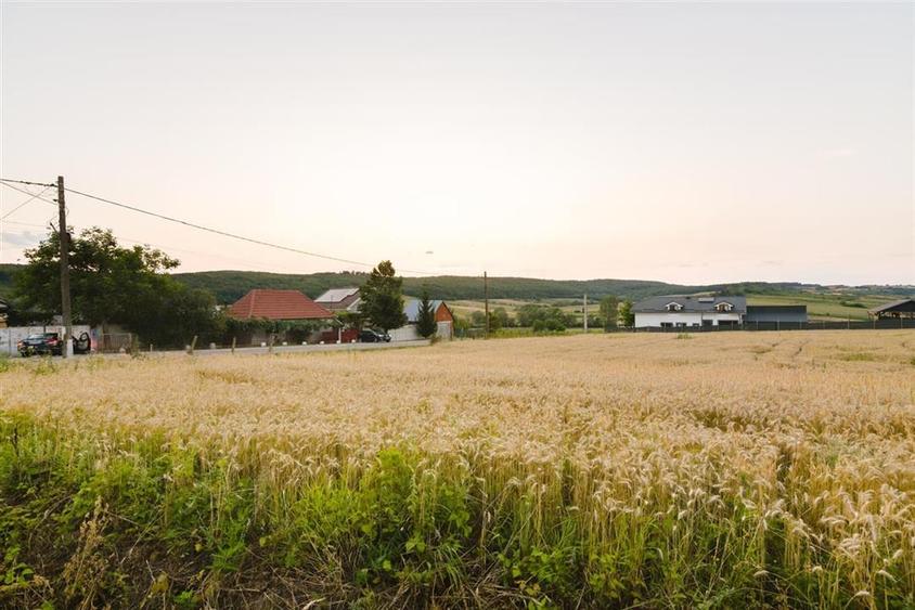 Teren Construcții intravilan de 1000 mp, în Lăzăreni