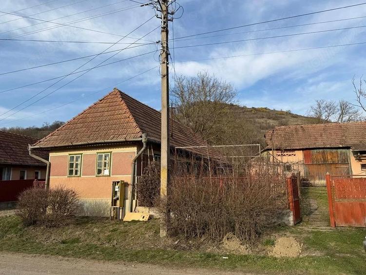 Casa de vanzare in Troi?a - 1