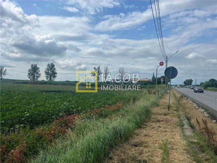 Teren intravilan, 8333 mp, la E85, comuna Secuienii Noi, jud. Neamt - 5