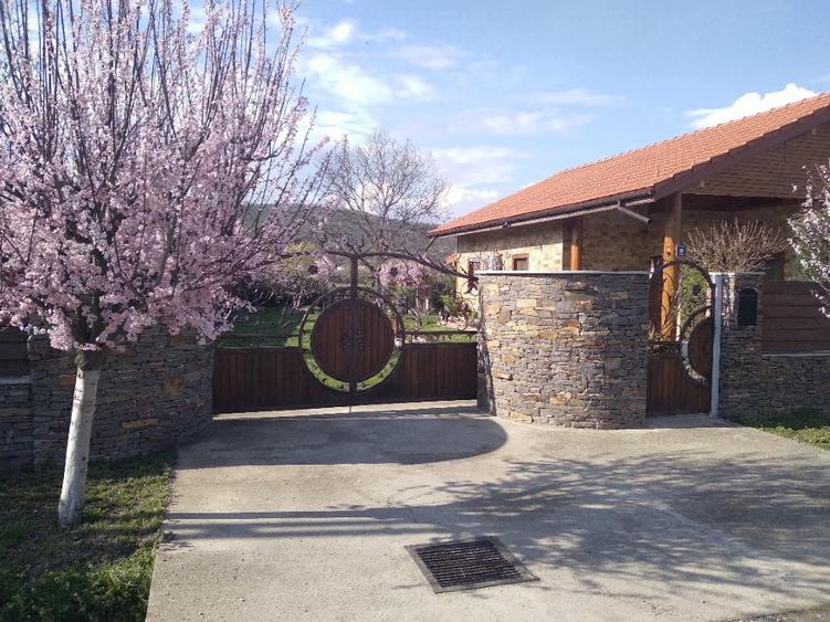 Casa in Mihaesti Valcea, 12 km de Ramnicu Valcea - 10