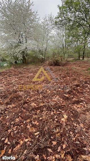 Teren intravilan in spate la Castel Transilvania 1.000mp - 2