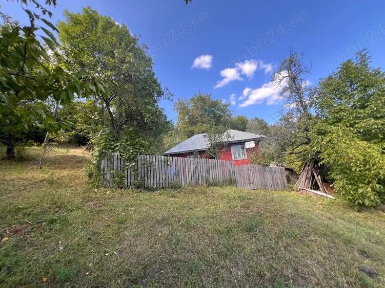 Casa batraneasca cu teren 3800mp - 3