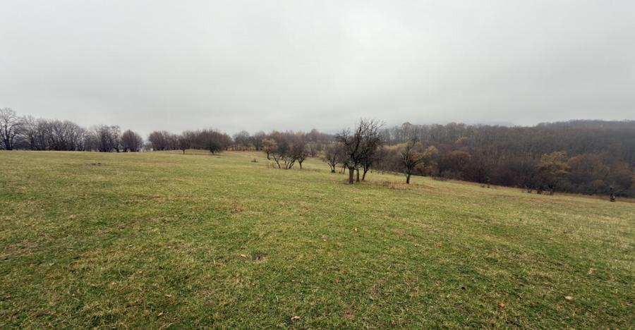 Teren spectaculos 3,5HA zona Cisnadioara - 3