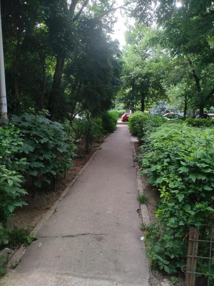 Grasoniera langa metrou Favorit|2min - 15