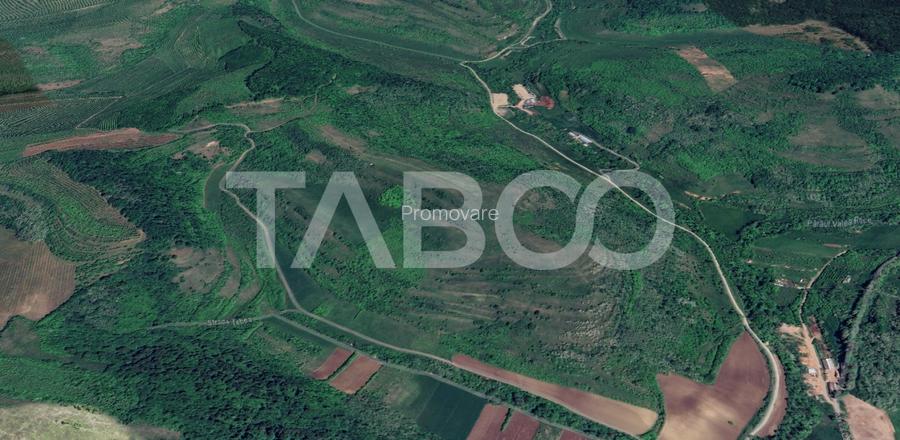 Teren extravilan de vanzare 10000 mp zona Gusterita