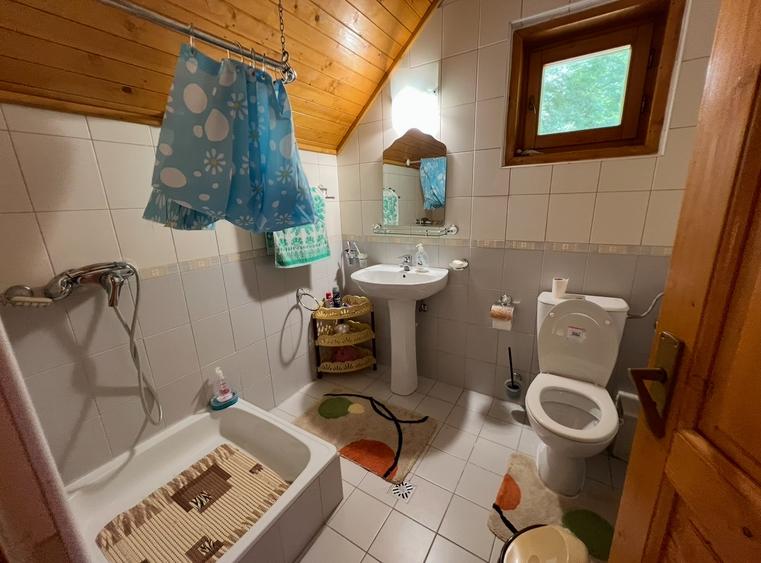 Vila la Busteni - 23