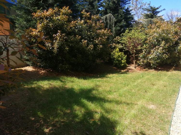 Lovely 2 bedrooms apartment with a 100 sq. m amazing garden - 1