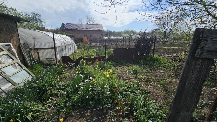 Casa + teren -centrala proprie -Cornetu -Ilfov - 23