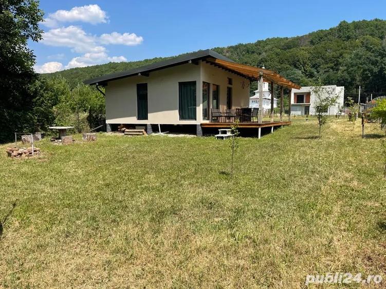 cananuta budeasa mica ( pitesti , maracineni ) - 4