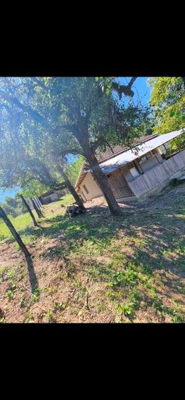 Teren si casa+ anexe de vânzare  - 1