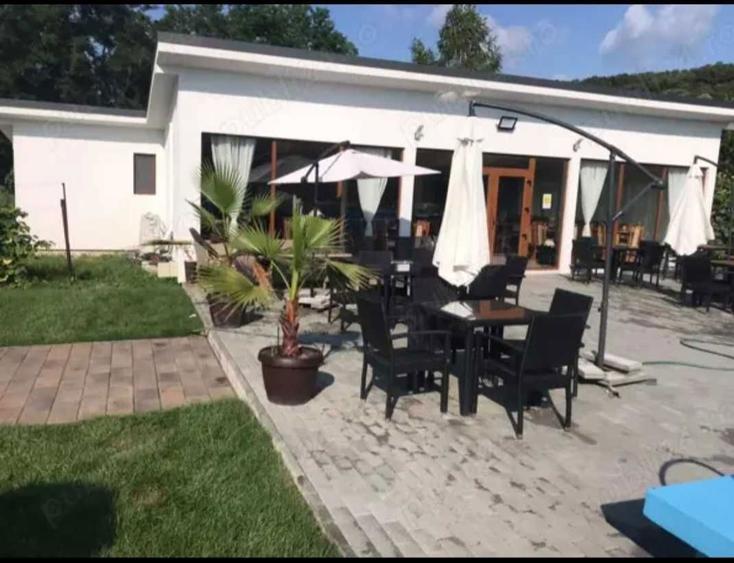 Vanzare proprietate in comuna Braniste - 7