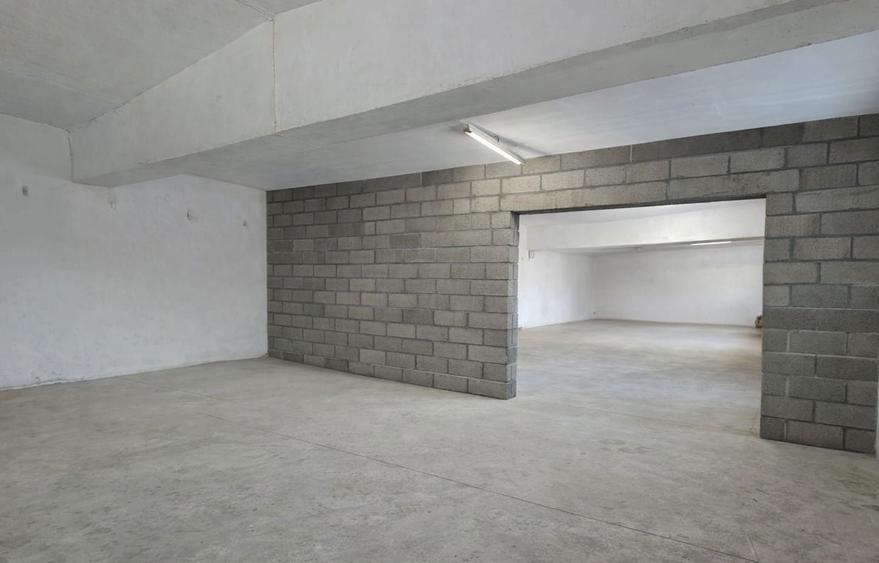 Spatiu 100mp zona Chimiei - 1