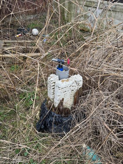 Vanzare Teren construibil 1800mp Magurele  Darasti  ilfov - 5