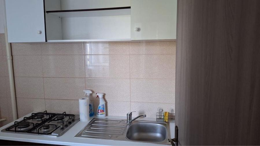 Garsoniera de inchiriat Brazda lui Novac - 3