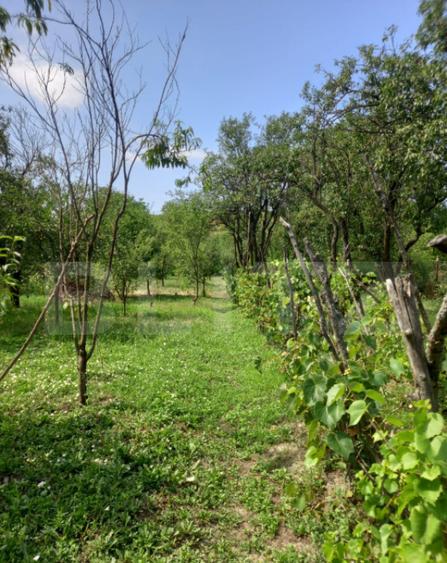 Gospodarie Completa, 130 mp, 1.300 mp Teren, zona Doice?t - 2