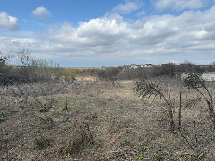 Teren de vanzare Caciulati Moara Vlasiei vedere lac - 4
