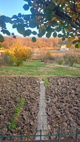 Teren intravilan de vânzare | 600mp | Ciugud | ideal pentru locuință individuală - 2