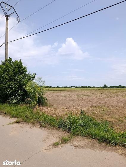 Proiect Greenfield, S.216.967mp, P.U.Z.-Hale, Rezidential, Ilfov. - 8