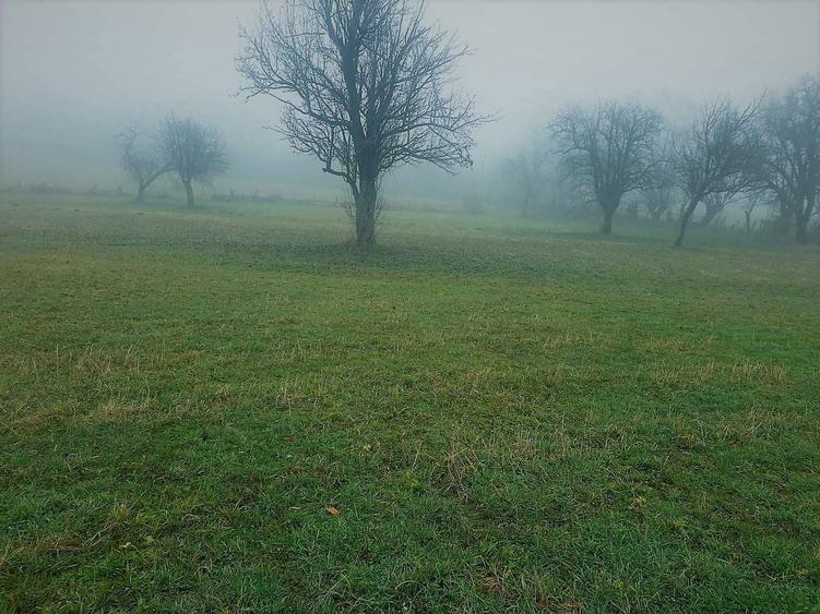 Teren de VANZARE / SCHIMB ! Bran- Sohodol Mestecanisului - 6