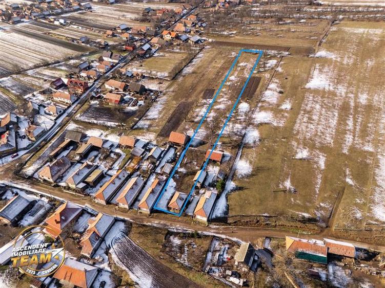 Film! Domeniu de 2.819 mp,  cu casa, Mereni, Covasna. - 12