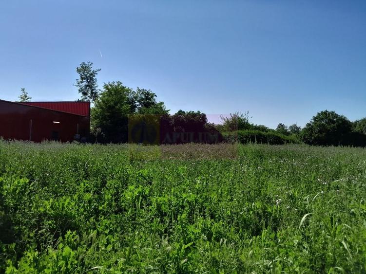 Movilita (IL)-teren de inch. 1800 mp stradal, 30 ml desch, langa Profi - 10