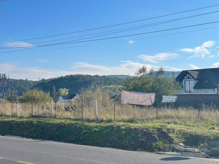 Teren DN73 Rasnov 1441mp! - 5