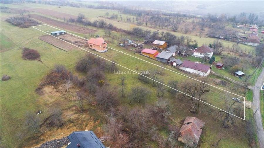 FILM! Casa si domeniu de 5.000mp, in Berchez:o bijuterie ascunsa a Maramuresului