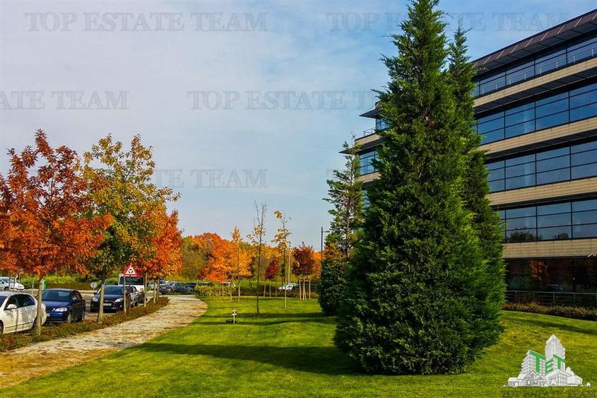 Spatiu de Birouri de 543 mp in Zona Baneasa - 10