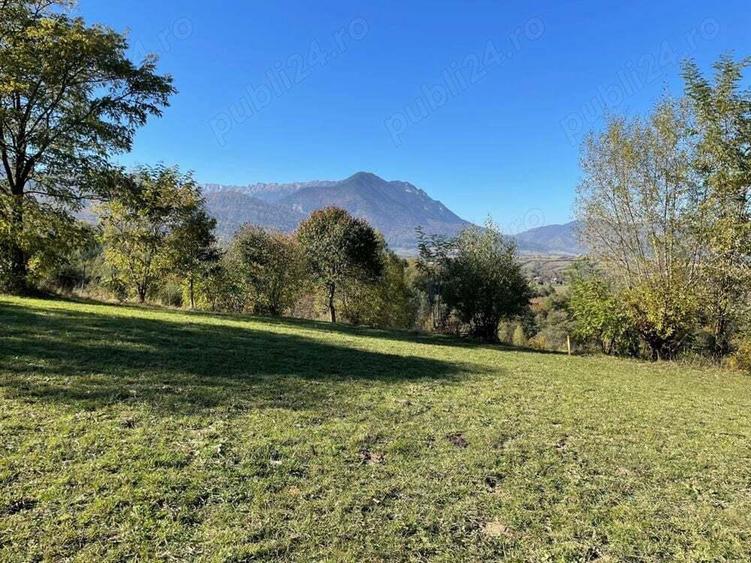 Teren intravilan zona Zarnesti-Tohanita,judetul Brasov la 12 km de Rasnov - 7