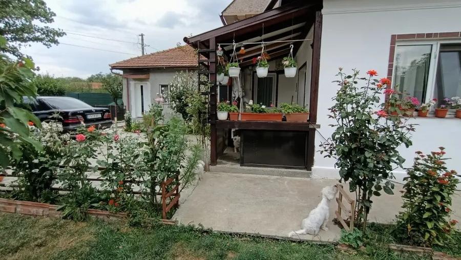Vand casa cu teren in zona Titu - 11