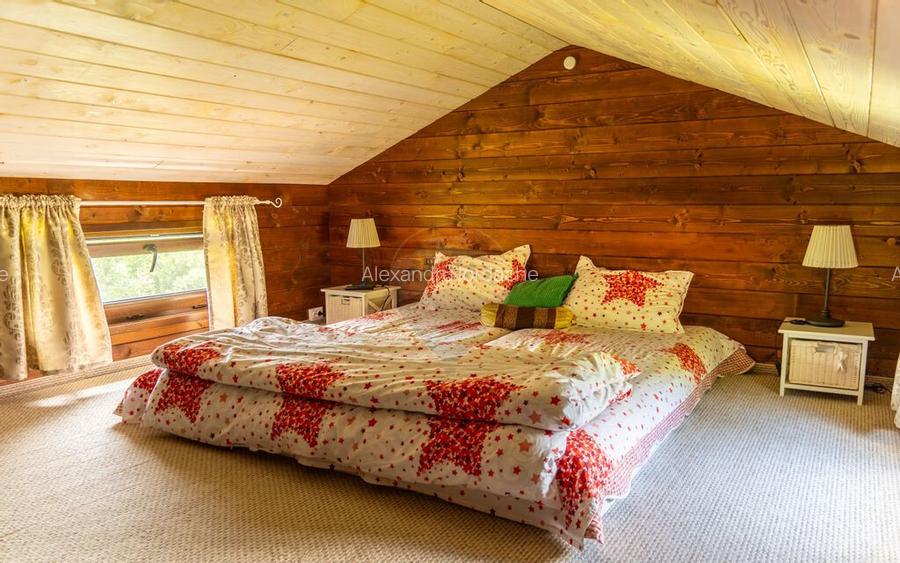 Teren Tarlungeni / Padure / Rau / Liniste / view / 7400mp